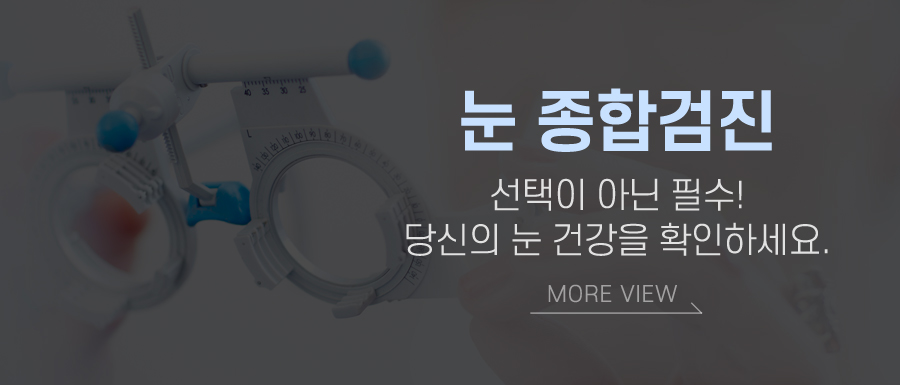 눈 종합검진