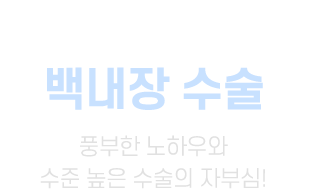 백내장수술