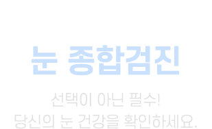 눈 종합검진